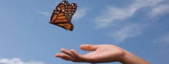 Healing the Past & Learning from the Future Healing the Past & Learning from the Future